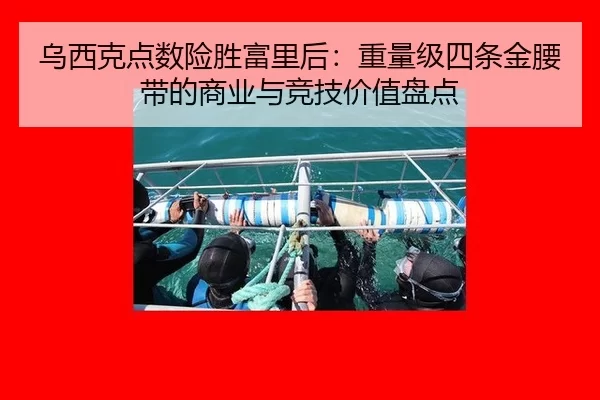 乌西克点数险胜富里后：重量级四条金腰带的商业与竞技价值盘点